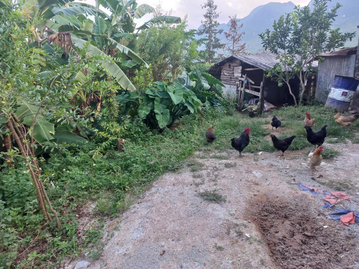 Homestay Hoang Vu Ha Giang Dış mekan fotoğraf